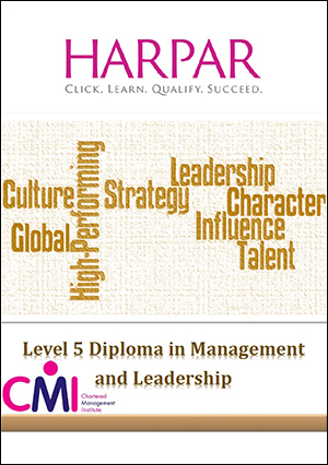 cmi level 5 leadership and management essays