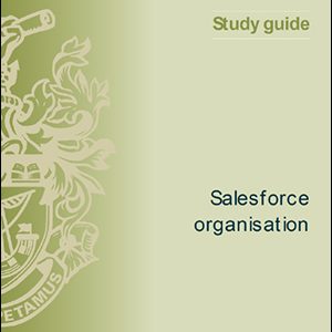 ISMM Study Guide- Salesforce Organization